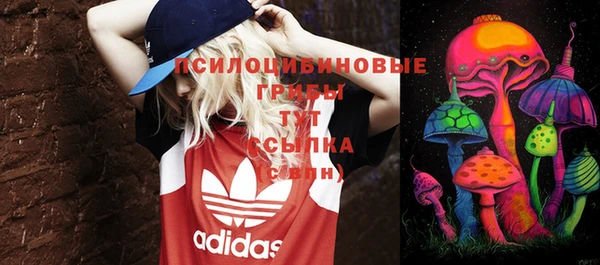 тгк Магадан