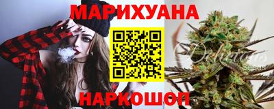 крисы Абакан