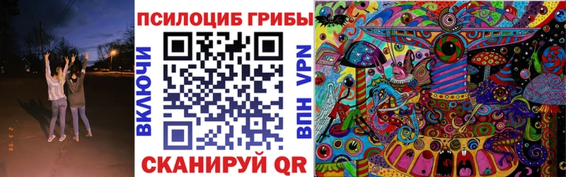 Галлюциногенные грибы Psilocybine cubensis  Томск 