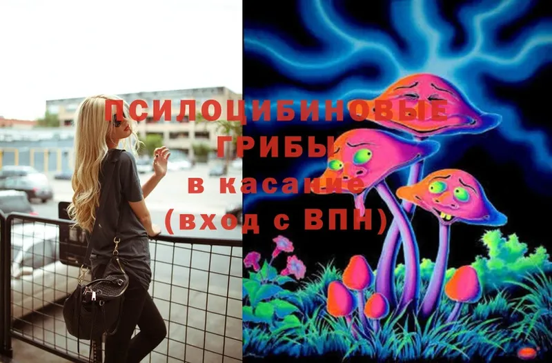 как найти закладки  Томск  Псилоцибиновые грибы Magic Shrooms 