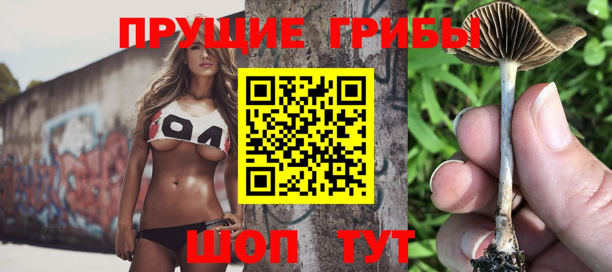 Галлюциногенные грибы Psilocybe  сколько стоит  Томск 