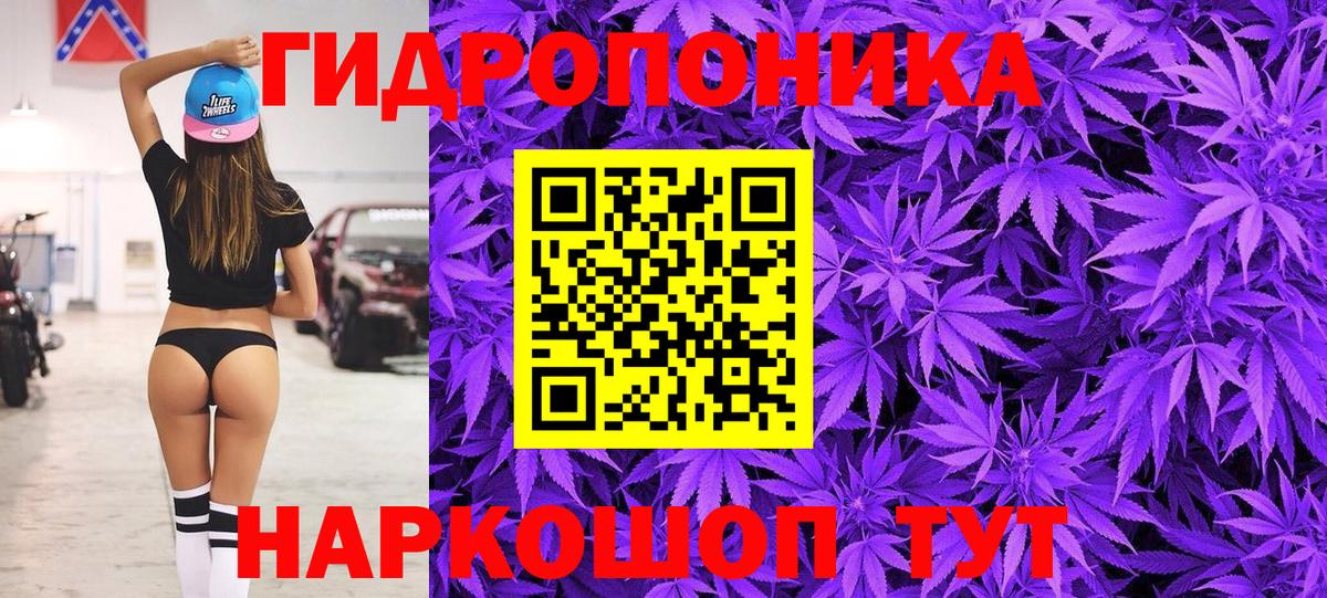 Конопля индика Томск